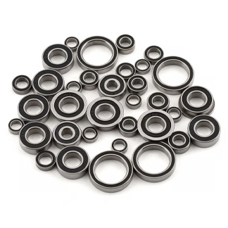 TLR 8X ENDURANCE BEARING KIT